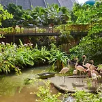 Tropical Islands Nyaraló Briesen (Dahme-Spreewald)