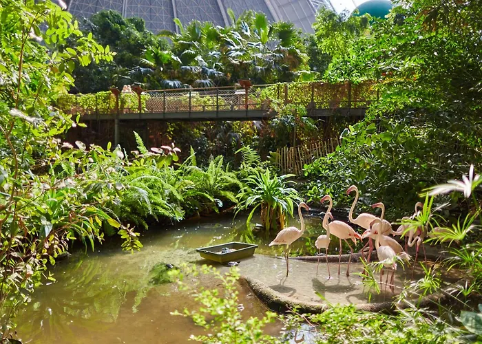 Tropical Islands Tatil Evi Briesen (Dahme-Spreewald)